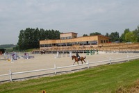 Club d'équitation baby poney/poney/cheval   Ecurie de propriétaires    Organisation de concours club/amateurs/professionnels/internationaux